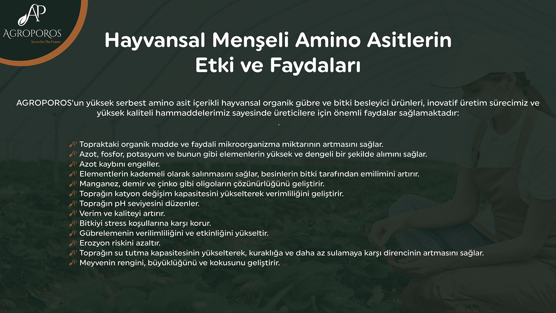 Hayvansal Menşeli Amino Asitlerin Etki ve Faydaları