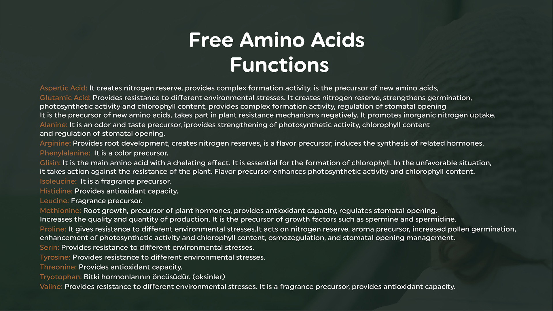 Free Amino Acid Based Solutions