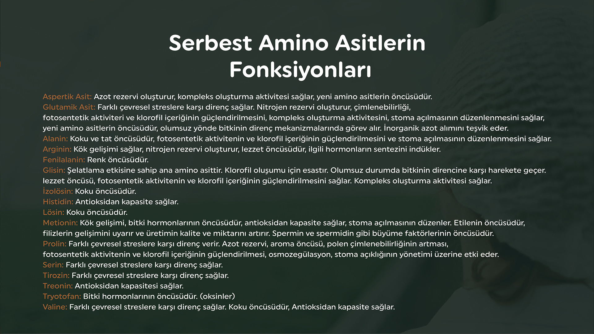 Serbest Amino Asit İçerikli Çözümler