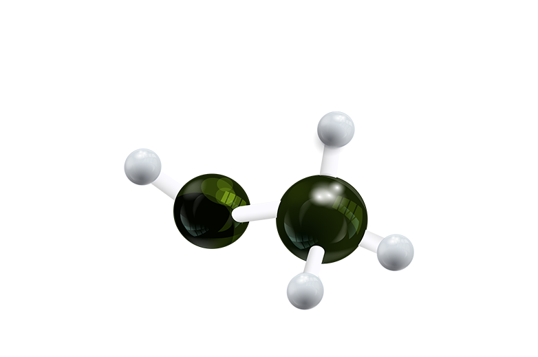 Ceres Amino 16 Amino Asit Diagramı