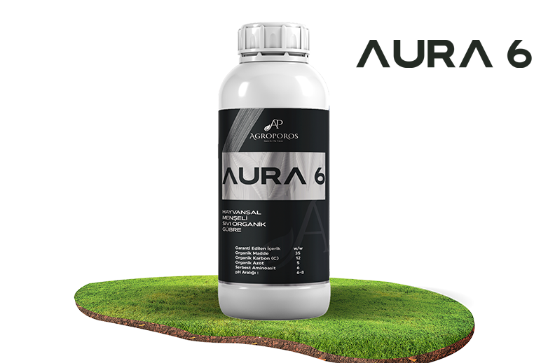 Aura 6